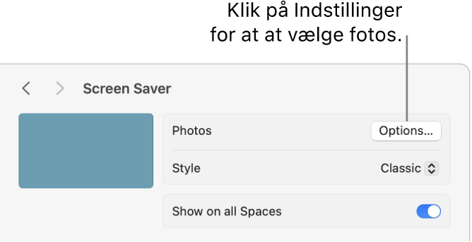 Øverst i vinduet Systemindstillinger vises indstillinger til Fotos.