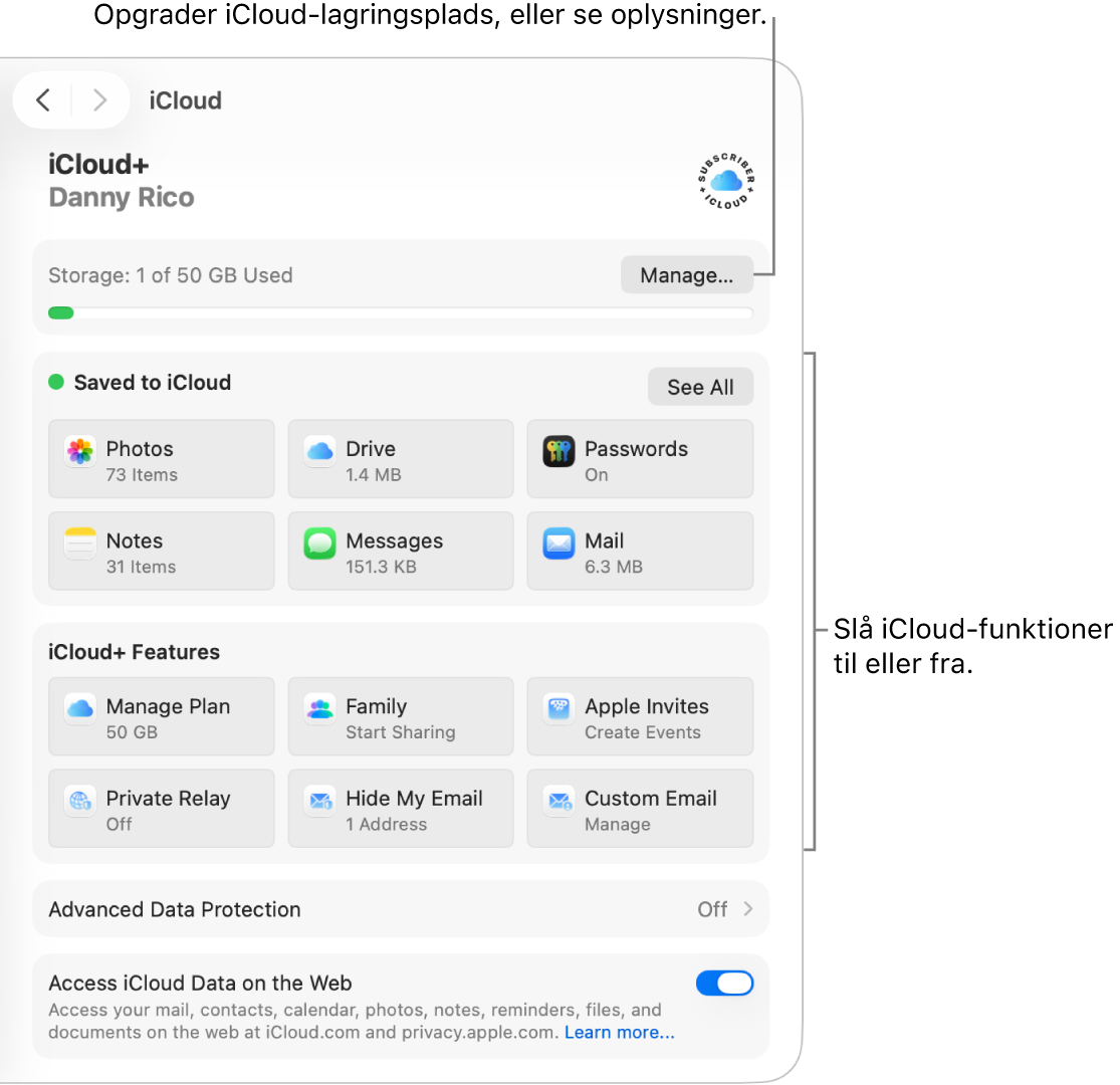 iCloud-indstillinger til de mest almindelige funktioner.