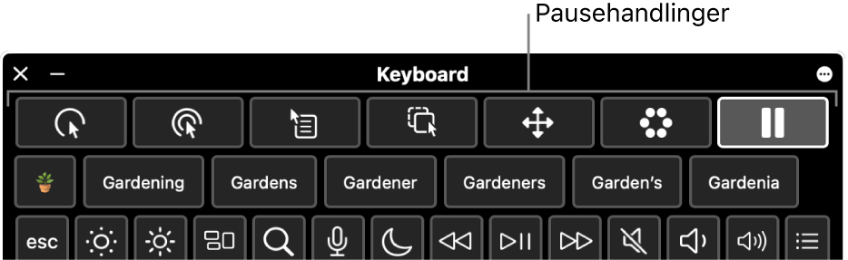 Knapper til pausehandlinger øverst på tilgængelighedstastaturet.