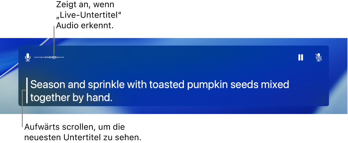 Eine Echtzeit-Transkription der Eingabe über das Computermikrofon wird als scrollbarer Text im Fenster „Live-Untertitel“ angezeigt.