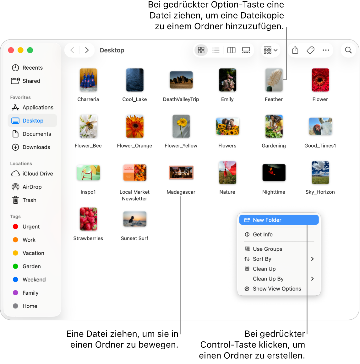 Ein Finder-Fenster mit Dateien und Ordnern. Im Menü „Kurzbefehle“ ist „Neuer Ordner“ hervorgehoben.