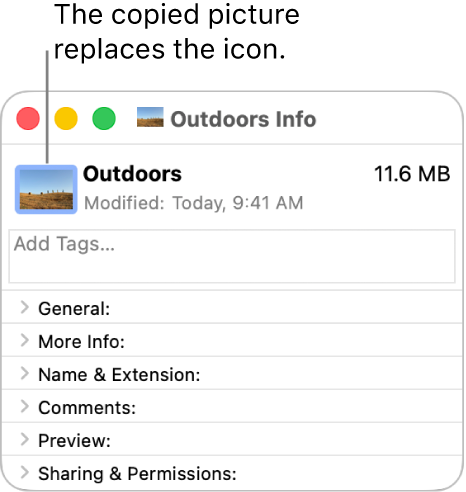 The Info window for a folder showing the generic icon replaced by a picture.