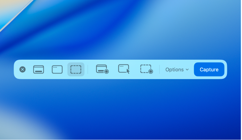 The Screenshot panel, showing icons you can use to select an area on the screen to to capture, the Options button and the Capture button.