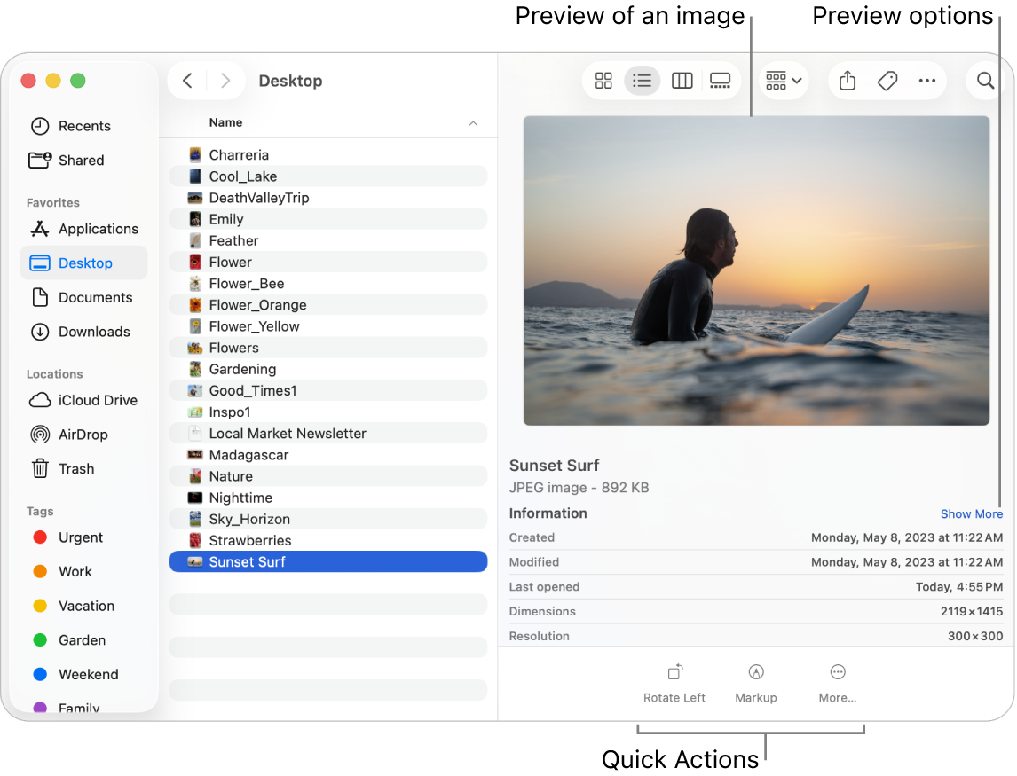 A Finder window showing the Finder sidebar on the left and an image file selected in the middle of the window. On the right, the Preview pane shows what the image looks like with the image details below that and the Quick Actions buttons at the bottom.