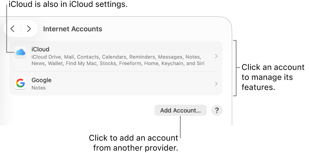 Internet Accounts settings with accounts that are set up on the Mac listed.