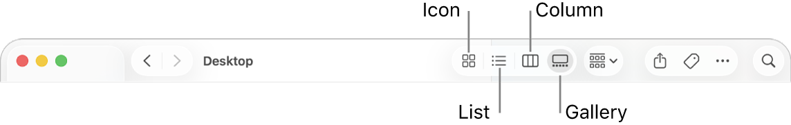 The top of a Finder window showing View option buttons for a folder.