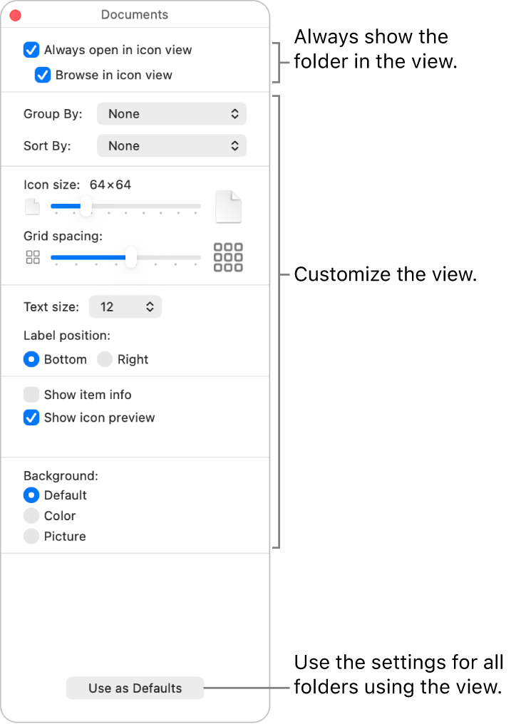 Icon view options for a folder.
