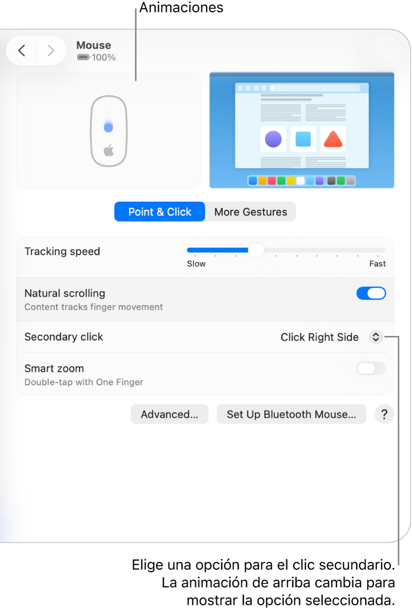 Las opciones del mouse en Configuración del Sistema mostrando la opción de clic secundario establecida a Hacer clic en el lado derecho, y la animación correspondiente