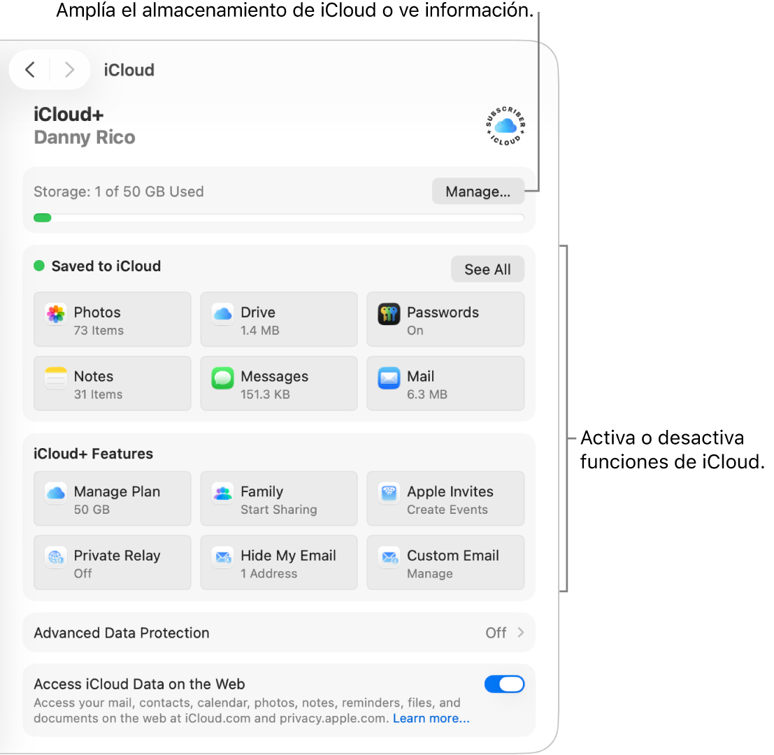 La configuración de iCloud para las funciones más usadas.
