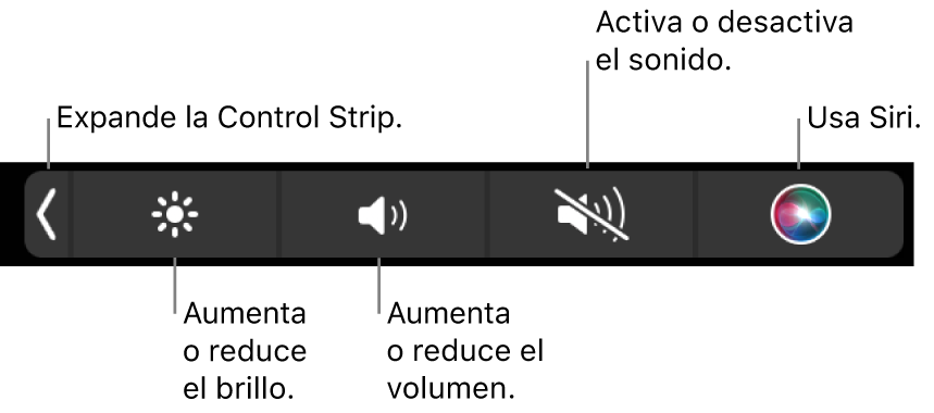 Los botones incluidos en la Control Strip contraída, de izquierda a derecha, para expandir la Control Strip, aumentar o reducir el brillo de la pantalla y el volumen, activar o desactivar el sonido, y usar Siri.