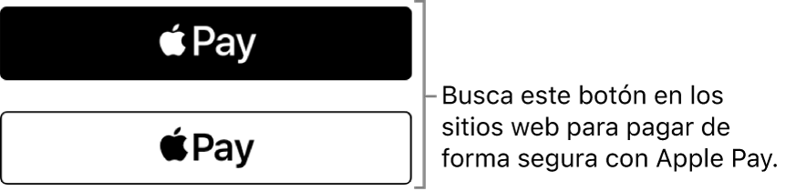 El botón que aparece en sitios web que aceptan compras con Apple Pay.