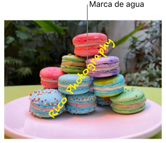 Una foto con una marca de agua que dice “Rico Photography” y cruza la foto en diagonal.