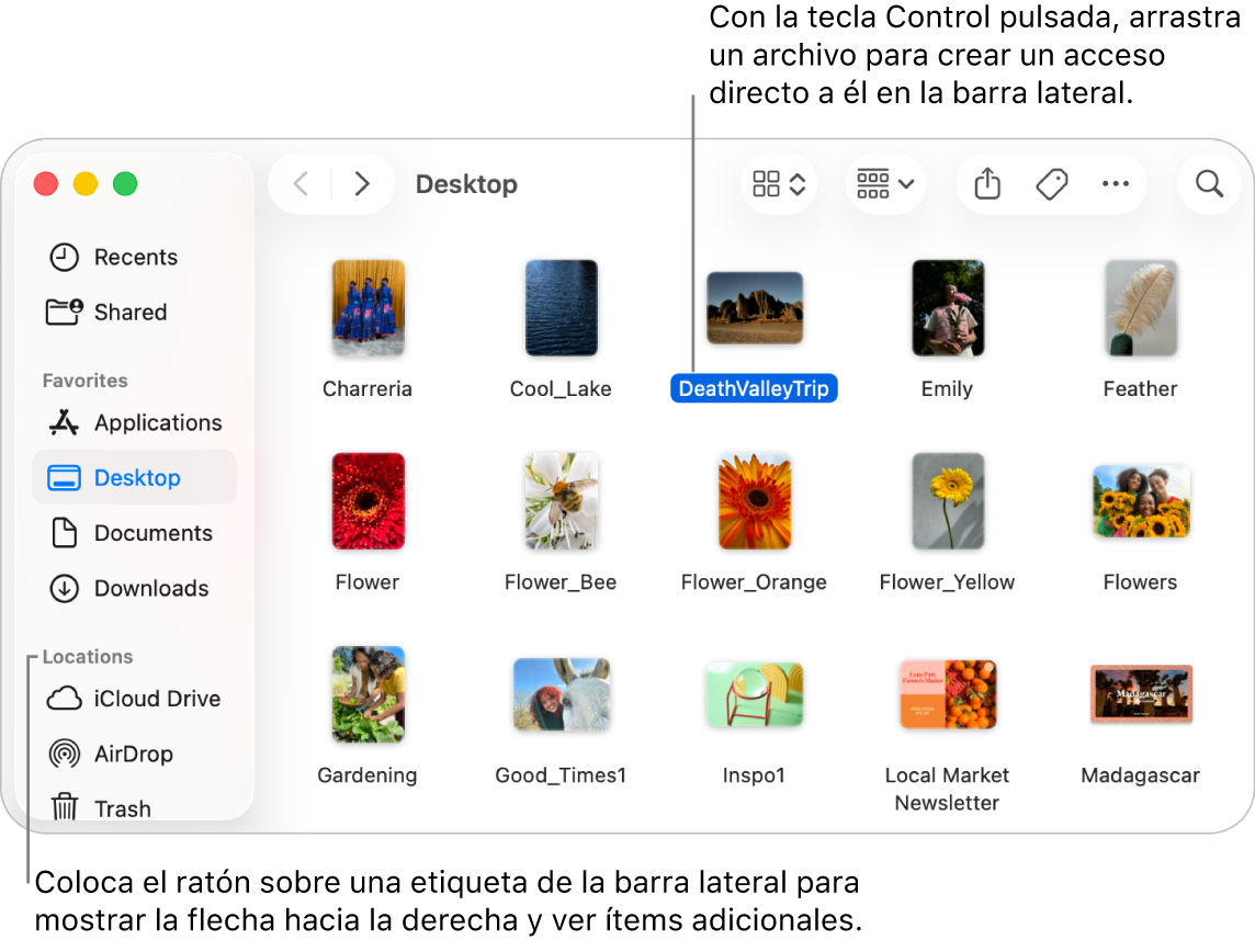 A la derecha de Ubicaciones, en la barra lateral del Finder, aparece una flecha en la que hacer clic para mostrar más ítems. En la ventana del Finder, a la derecha, hay seleccionado un archivo y en la barra lateral, debajo de Favoritos, aparece un atajo al archivo.