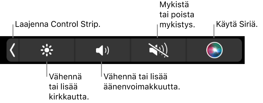 Pienennetyssä Control Stripissä on painikkeet, joilla voidaan (vasemmalta oikealle) laajentaa Control Strip, lisätä tai vähentää näytön kirkkautta ja äänenvoimakkuutta, mykistää tai poistaa mykistys sekä käyttää Siriä.