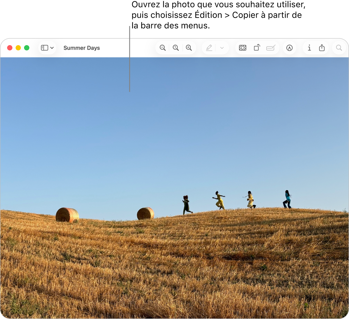 L’app Aperçu qui affiche une image à copier.