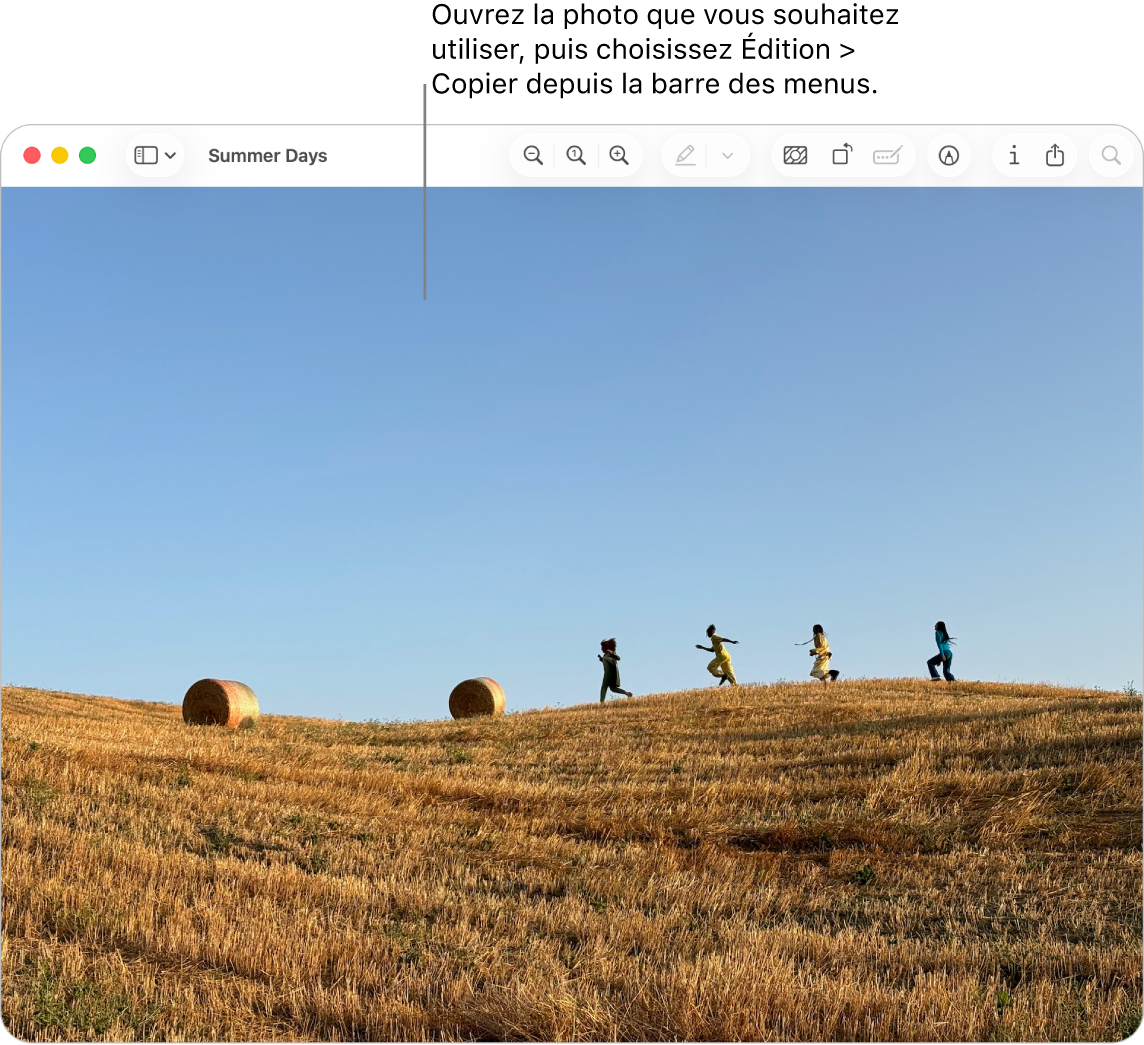 L’app Aperçu affichant une image à copier.