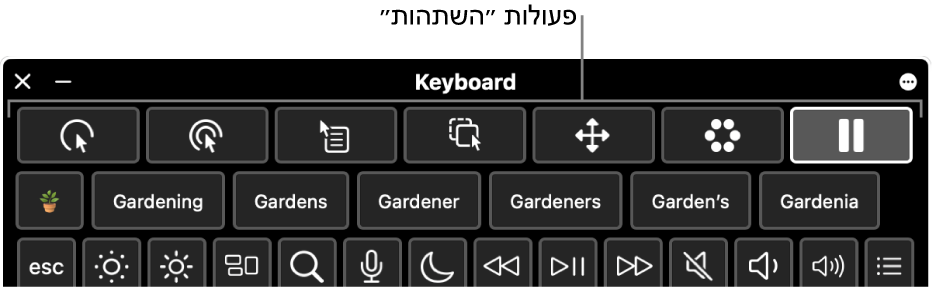 כפתורים של פעולות ״השתהות״ הממוקמים לאורך החלק העליון של ״מקלדת הנגישות״.