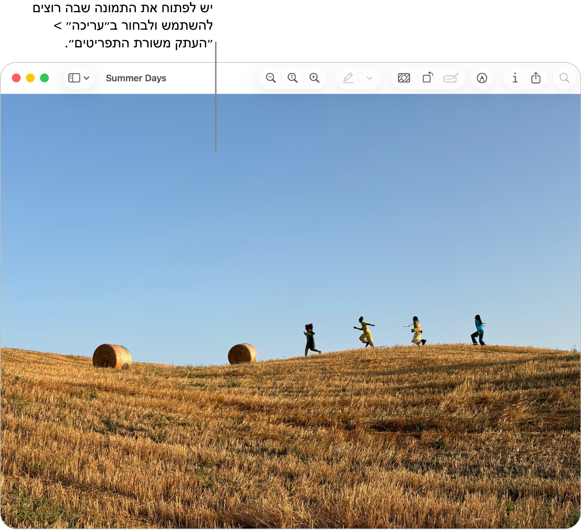 היישום ״תצוגה מקדימה״ עם תמונה המיועדת להעתקה.