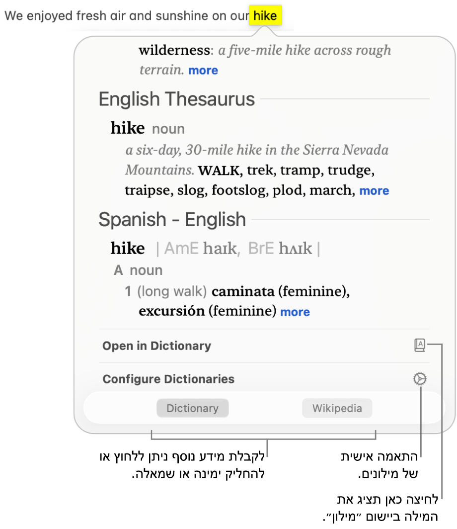 החלון ״חיפוש״ המציג הגדרות ״מילון״ ו״מילון מילים נרדפות (תזאורוס)״ עבור מילה.