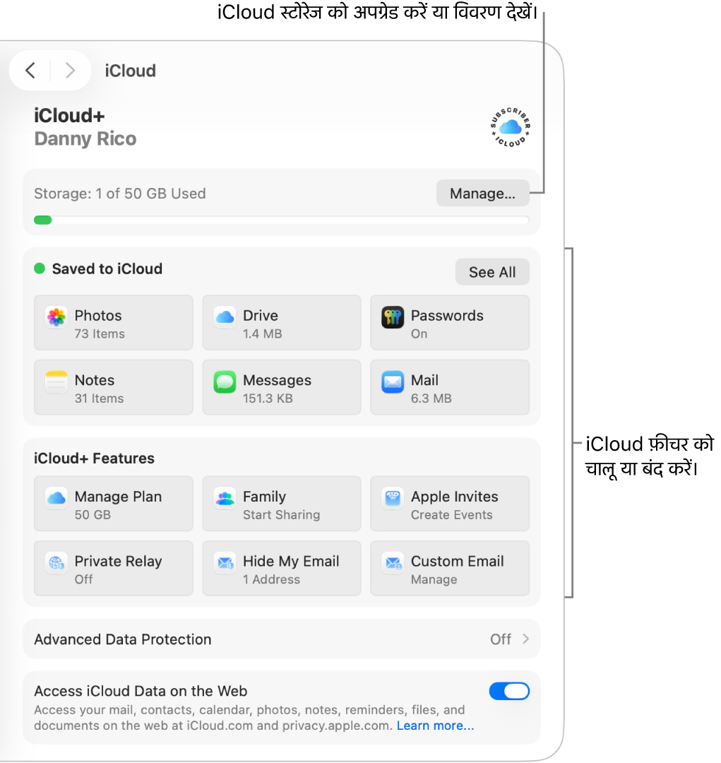 सबसे अधिक इस्तेमाल किए जाने वाले फ़ीचर के लिए iCloud सेटिंग।