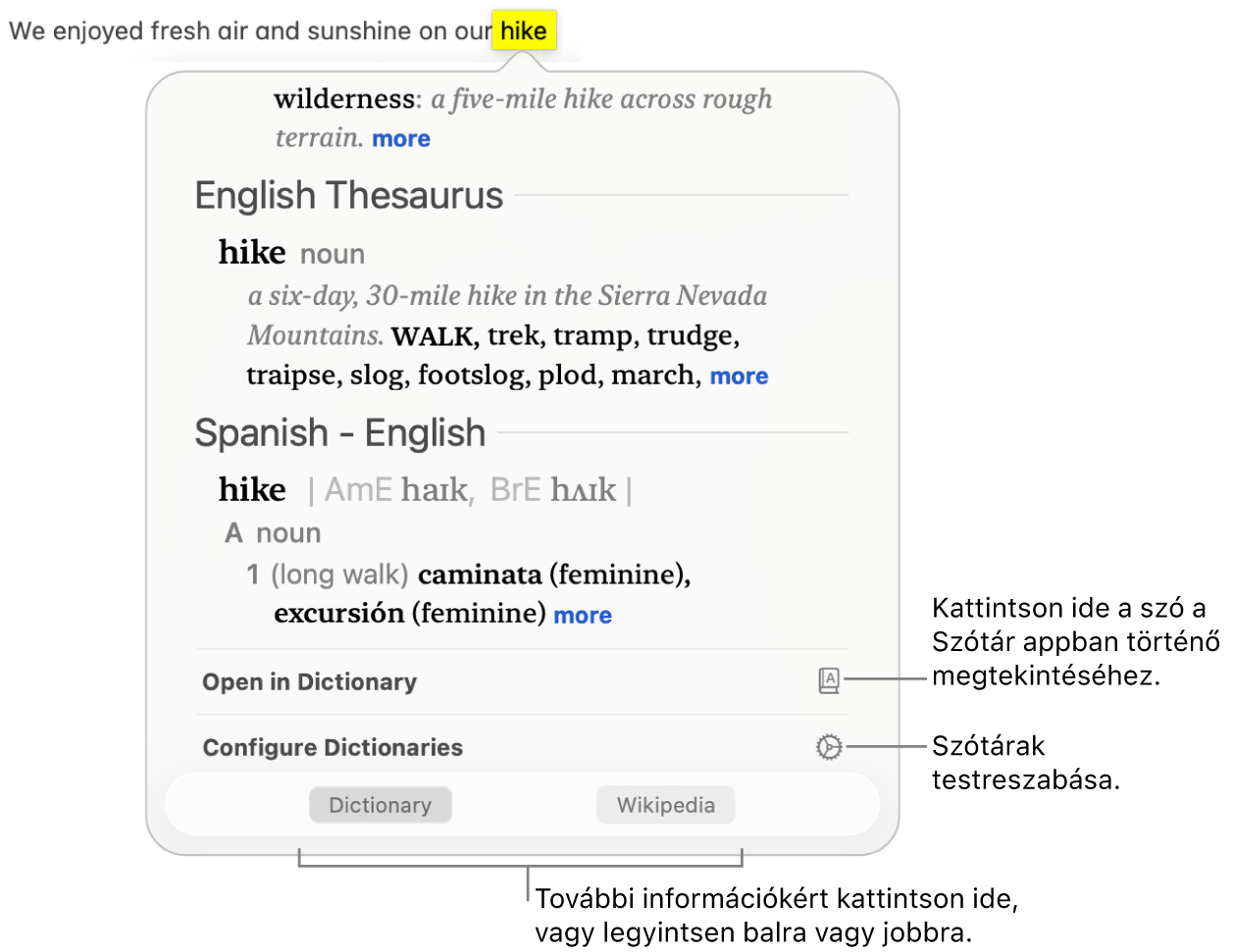 A Szó keresése ablak a szó Szótárban és a Szójegyzékben fellelhető definíciójával.
