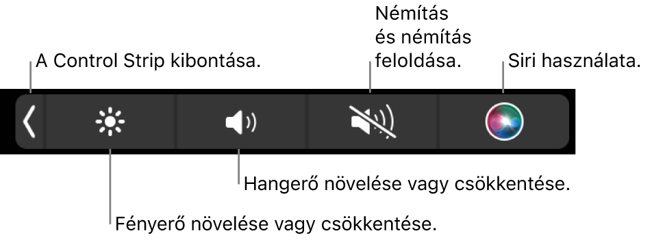 A visszazárt Control Strip gombokat tartalmaz, amelyek (balról jobbra) a következők: a Control Strip kibontása, a képernyő fényerejének és a hangerőnek a növelése és csökkentése, a némítás, a némítás feloldása, valamint a Siri használata.