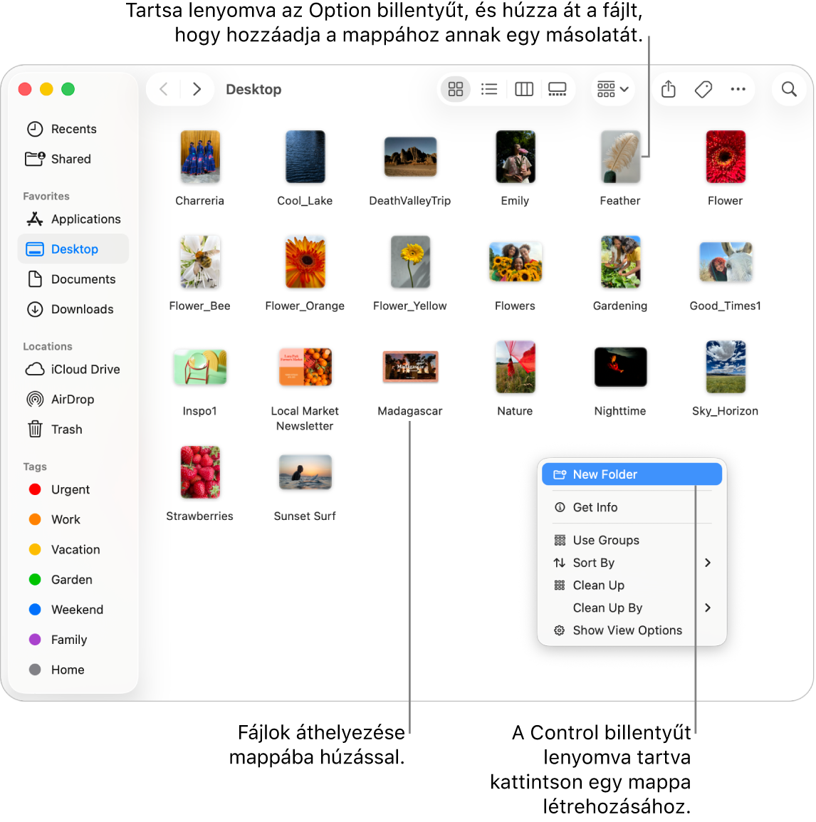 Egy fájlokat és mappákat tartalmazó Finder-ablak. A parancsmenüben az Új mappa parancs van kijelölve.