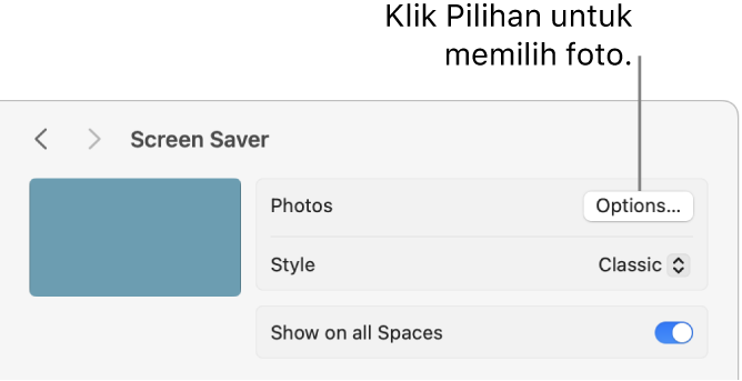 Bagian atas jendela Pengaturan Sistem, menampilkan pilihan untuk Foto.