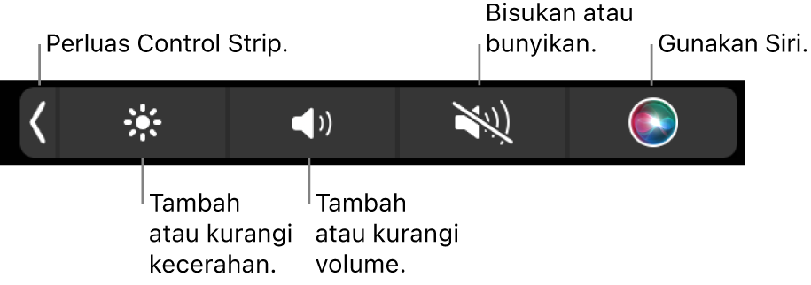 Control Strip yang diciutkan meliputi tombol—dari kiri ke kanan—untuk memperluas Control Strip, menambah dan mengurangi kecerahan layar dan volume, membisukan atau membunyikan, dan menggunakan Siri.