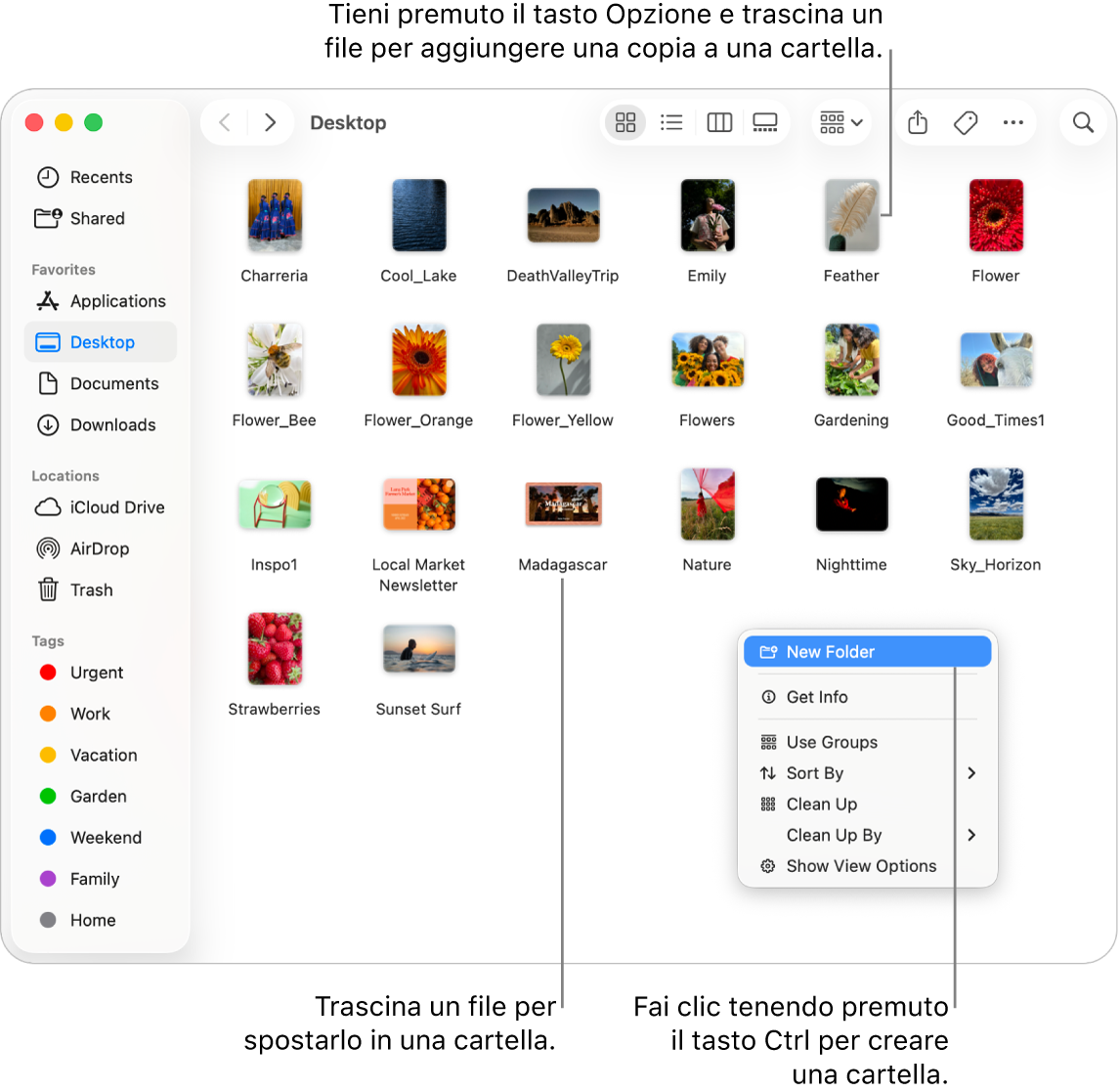 Una finestra del Finder con file e cartelle. Nel menu delle abbreviazioni è evidenziata la dicitura “Nuova cartella”.