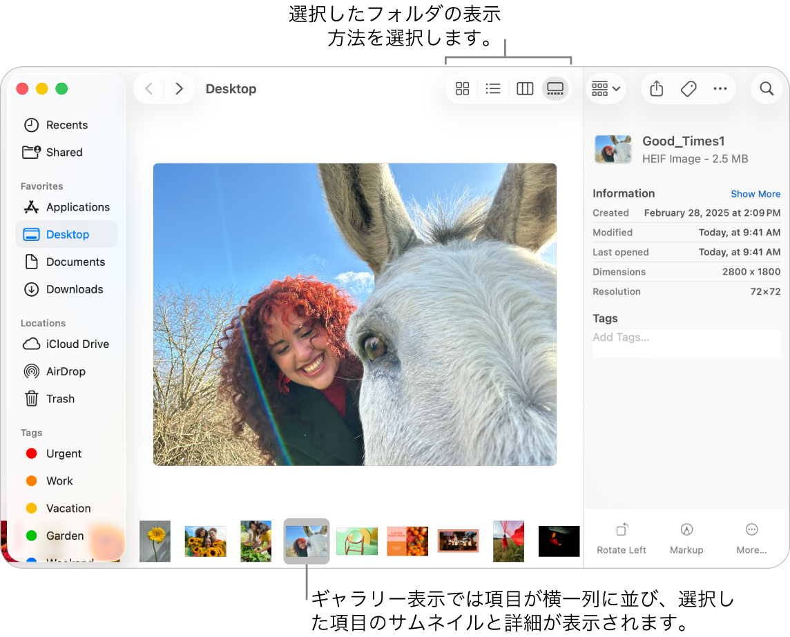 Finderのウインドウ。ウインドウの左側にFinderのサイドバー、下部に選択した画像ファイルが表示されています。中央では、プレビューパネルに画像の外観、その右側に画像の詳細と「クイックアクション」ボタンが表示されています。