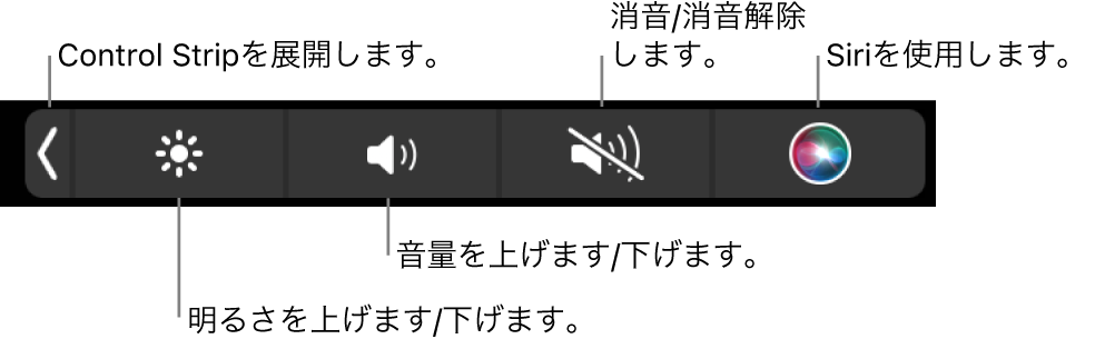 折りたたまれたControl Stripには、左から右へ順に、Control Stripを展開するボタン、ディスプレイの輝度および音量を調整するボタン、消音にしたり消音を解除したりするボタン、およびSiriを使用するボタンが含まれています。