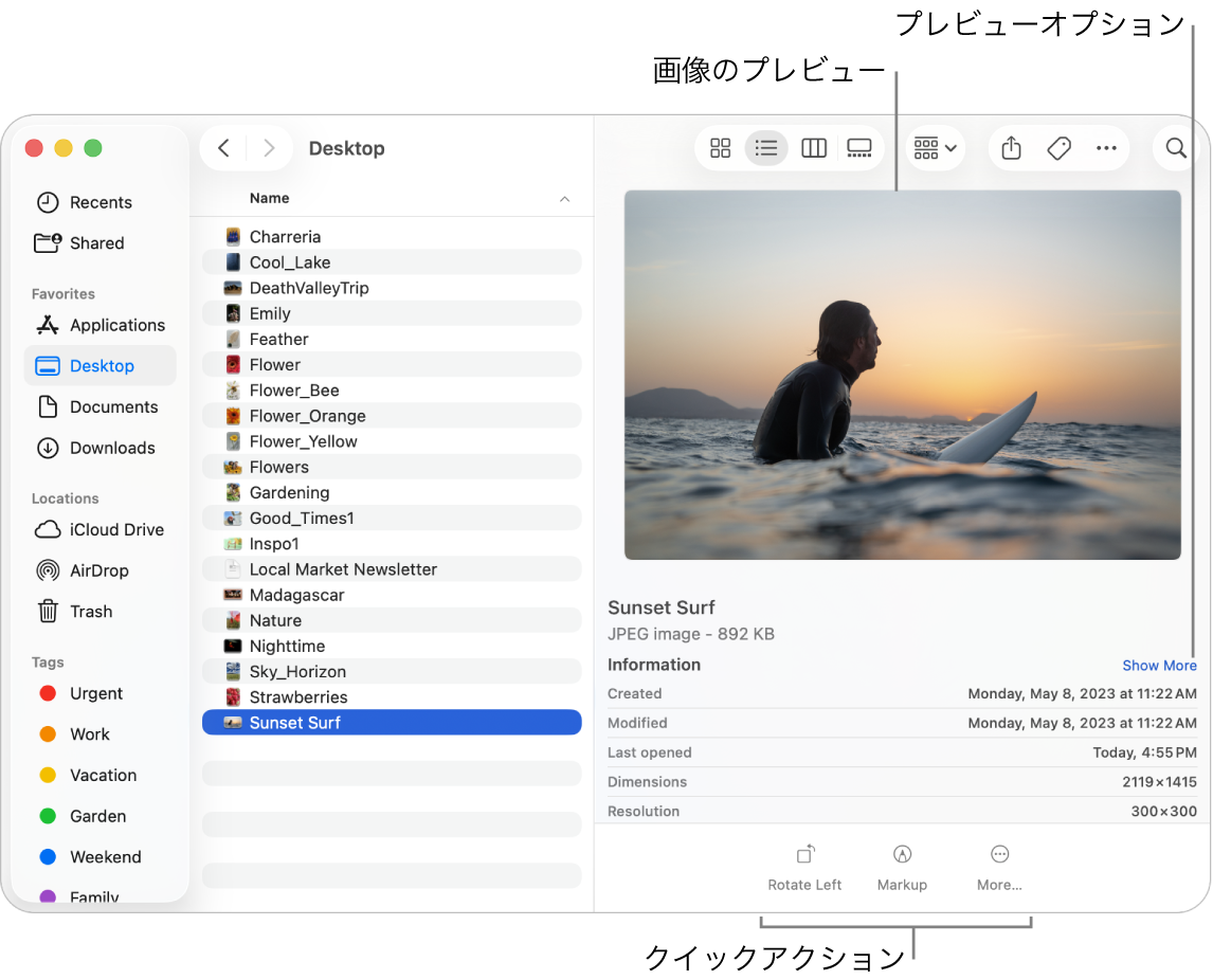 Finderのウインドウ。ウインドウの左側にFinderのサイドバー、中央に選択した画像ファイルが表示されています。右側では、プレビューパネルに画像の外観、その下に画像の詳細、下部に「クイックアクション」ボタンが表示されています。