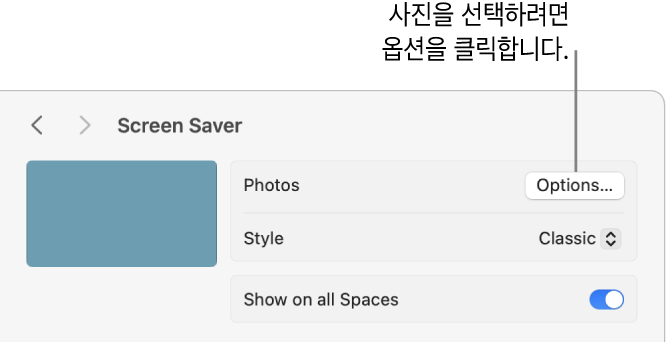 사진의 옵션을 표시하는 시스템 설정 윈도우 상단.