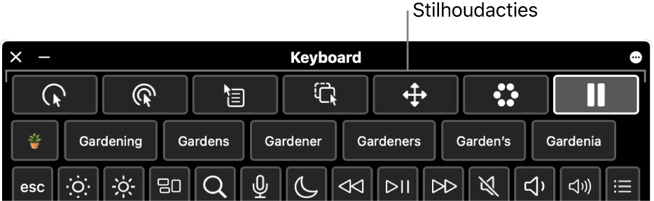 De knoppen voor stilhoudacties staan boven in het toegankelijkheidstoetsenbord.