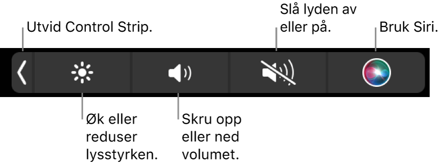 Når Control Strip er minimert, inneholder den knapper, fra venstre mot høyre, for å utvide Control Strip, øke eller redusere lysstyrke og volum, slå lyden av eller på og bruke Siri.