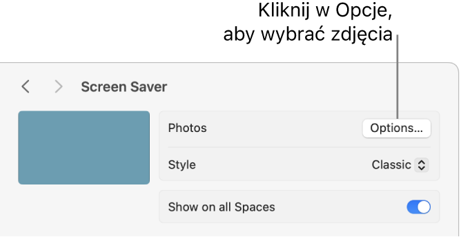 Górna część okna Ustawień systemowych z opcjami dotyczącymi zdjęć.