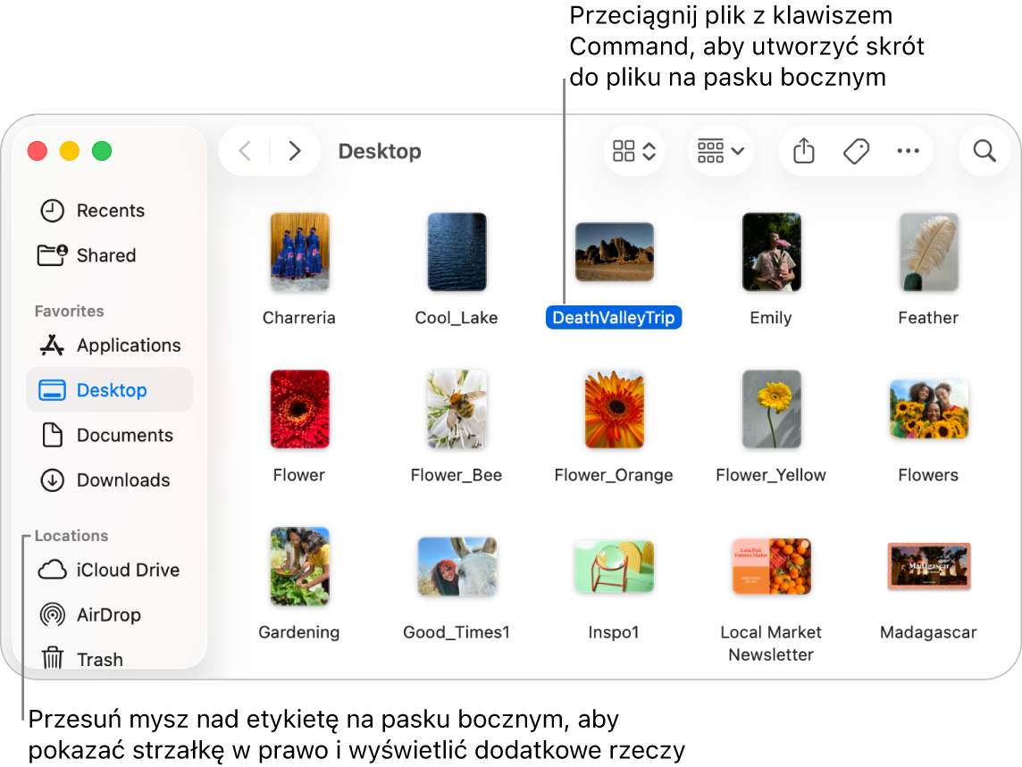 Po prawej stronie etykiety Miejsca na pasku bocznym Findera widoczna jest strzałka. Kliknięcie w nią pokazuje dodatkowe miejsca. Okno Findera z zaznaczonym po prawej plikiem. Na pasku bocznym, pod etykietą Ulubione, widoczny jest skrót do tego pliku.