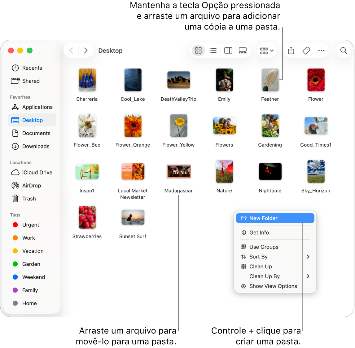 Janela do Finder contendo arquivos e pastas. No menu de atalho, Nova Pasta está destacado.