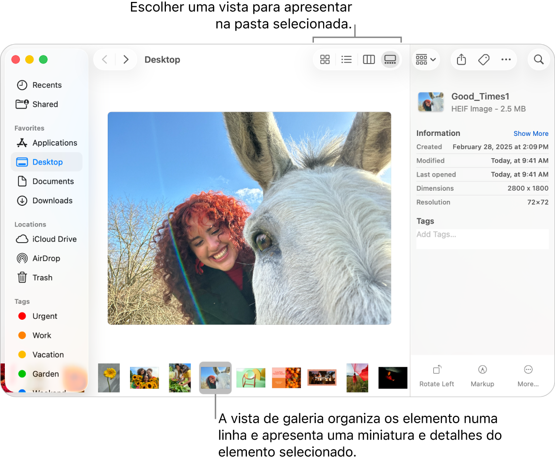 Uma janela do Finder a mostrar a barra lateral do Finder à esquerda e um ficheiro de imagem selecionado na parte inferior da janela. No meio, o painel de Pré-visualização mostra o aspeto da imagem, com os detalhes da imagem e os botões de ações rápidas do lado direito.