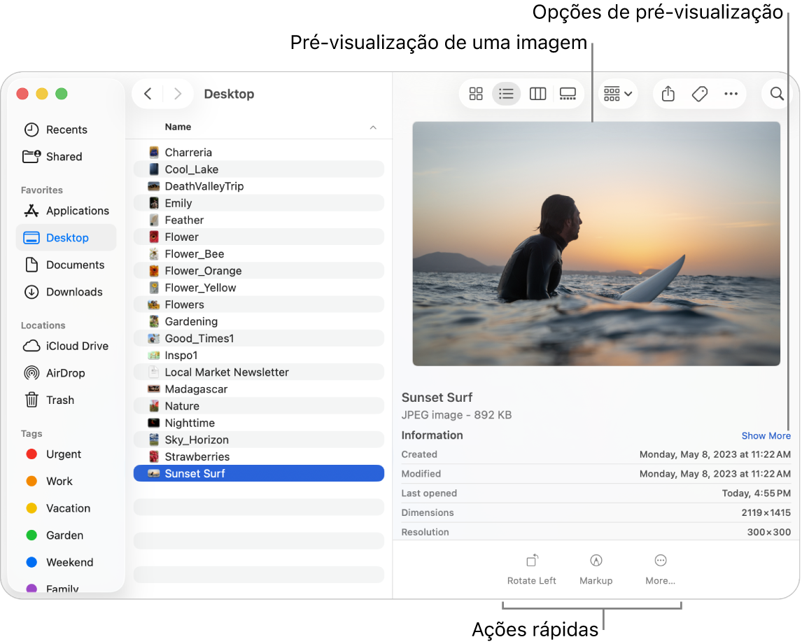 Uma janela do Finder a mostrar a barra lateral do Finder à esquerda e um ficheiro de imagem selecionado no meio da janela. À direita, o painel de pré-visualização mostra como é a imagem, com os detalhes da imagem por baixo e os botões de ações rápidas na parte inferior.