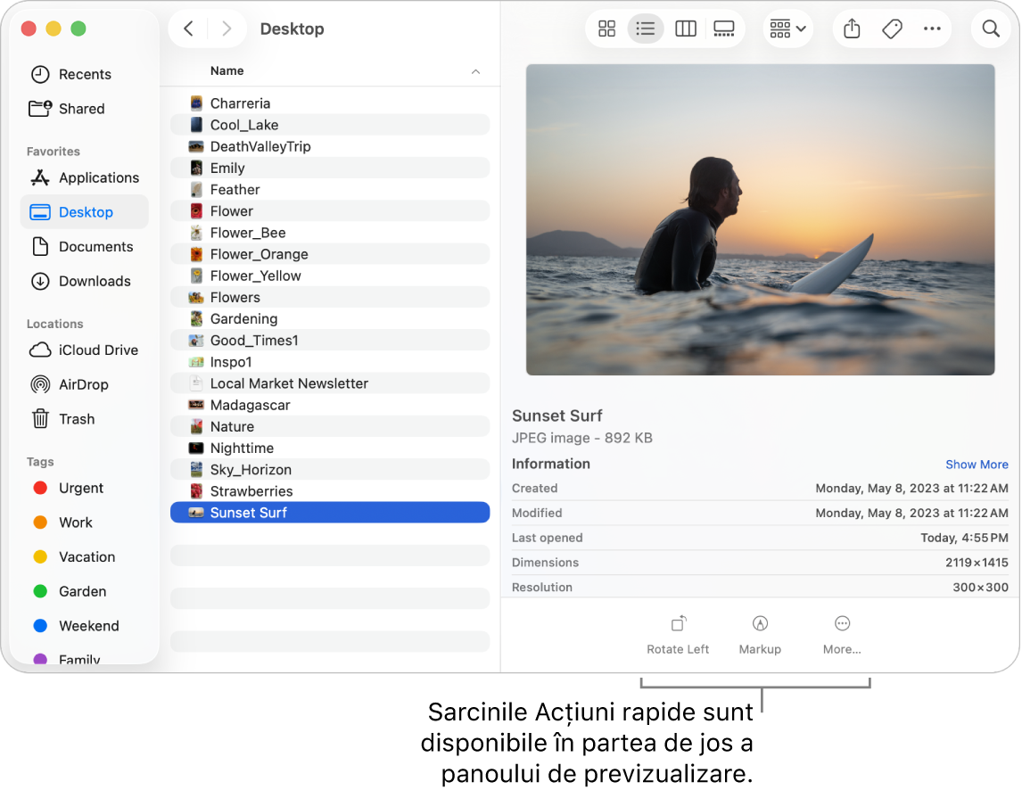 Partea de jos a panoului Previzualizare afișând butoanele Acțiuni rapide.