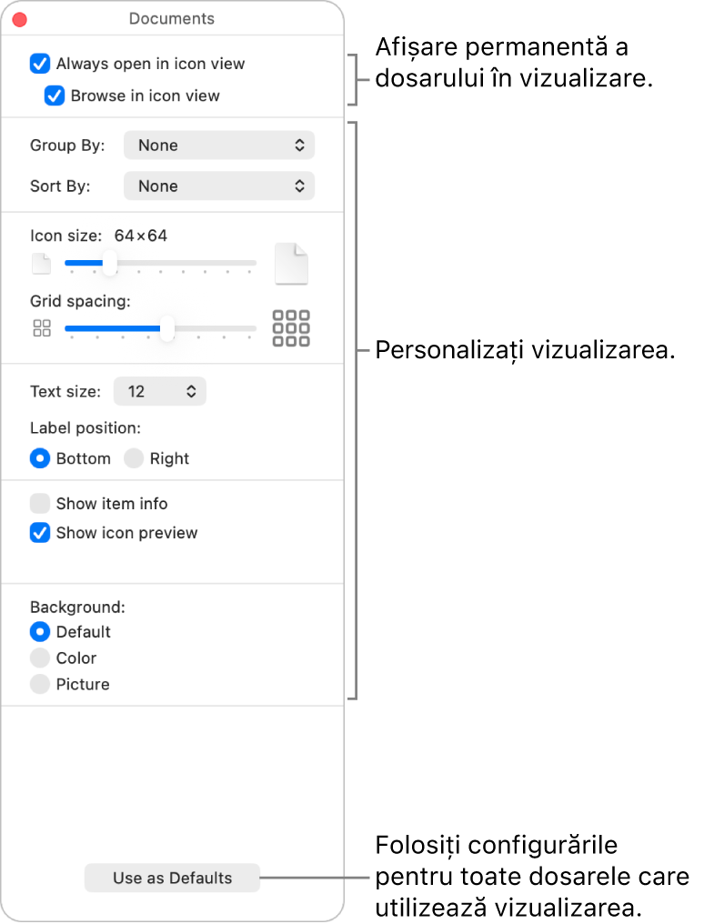 Opțiunile de vizualizare Pictogramă pentru un dosar.