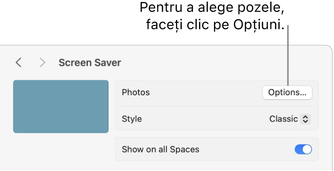 Partea de sus a ferestrei Configurări sistem, afișând opțiuni pentru Poze.