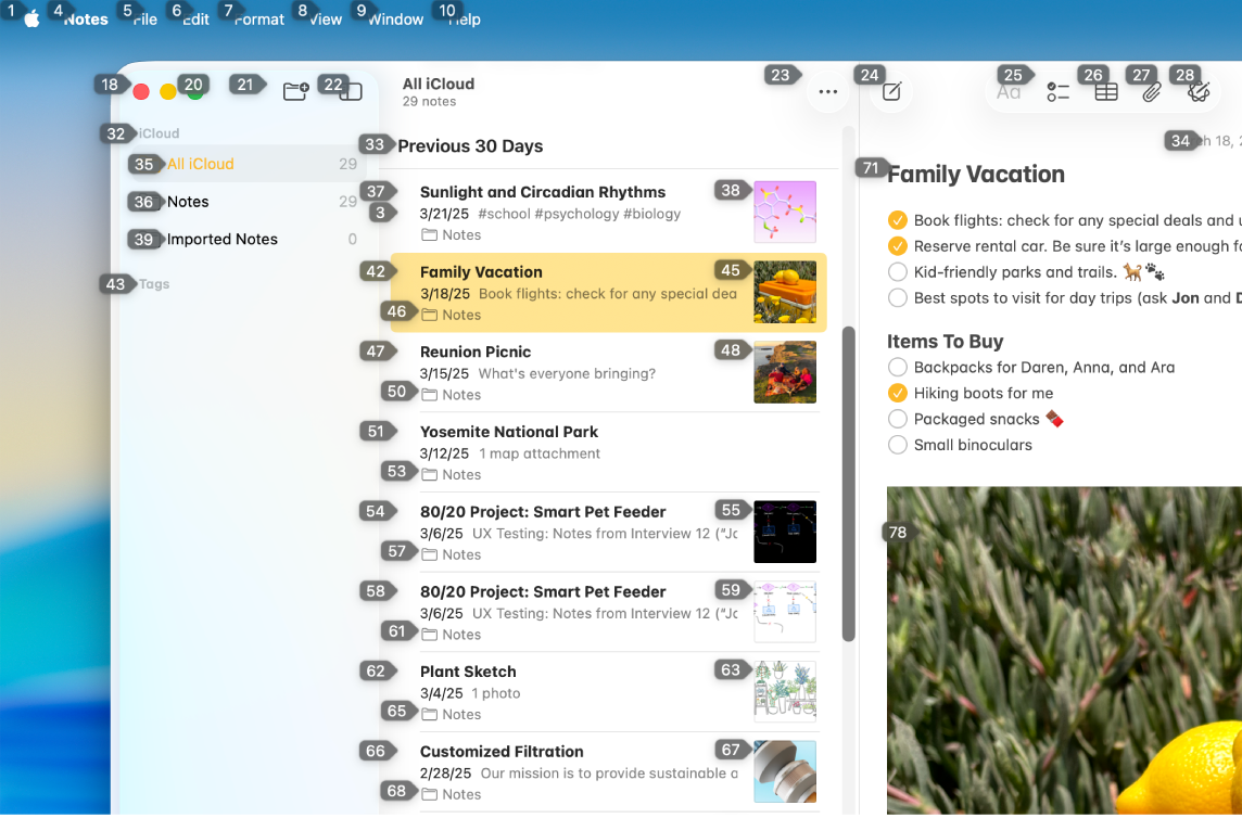Colțul din stânga sus al desktopului Mac‑ului afișând un număr lângă fiecare articol din bara de meniu. Sub bara de meniu, este deschisă aplicația Notițe și sunt afișate numere lângă butoanele și conținutul din aplicație.