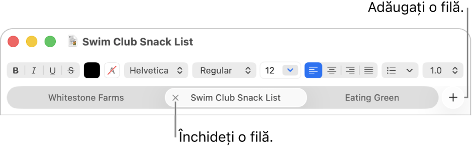 O fereastră TextEdit cu trei file în bara de file, situată sub bara de formatare. O filă afișează butonul Închideți. Butonul Adăugați este situat la capătul din dreapta al barei de file.