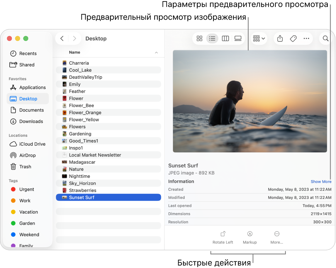 Окно Finder с боковым меню Finder слева и выбранным файлом изображения в середине окна. Справа находится панель предварительного просмотра: показано изображение, под ним — свойства изображения, а внизу — кнопки быстрых действий.