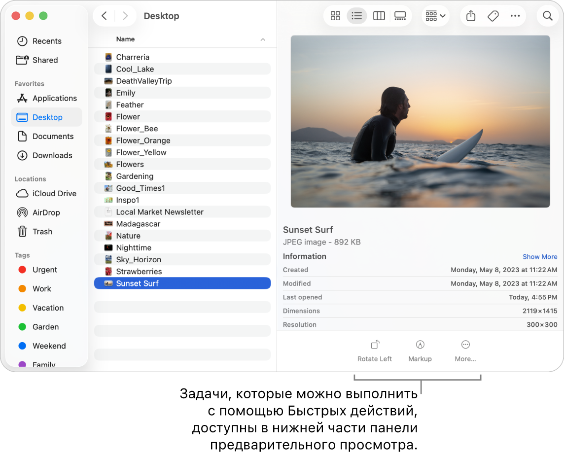 Нижняя часть панели предварительного просмотра с кнопками быстрых действий.