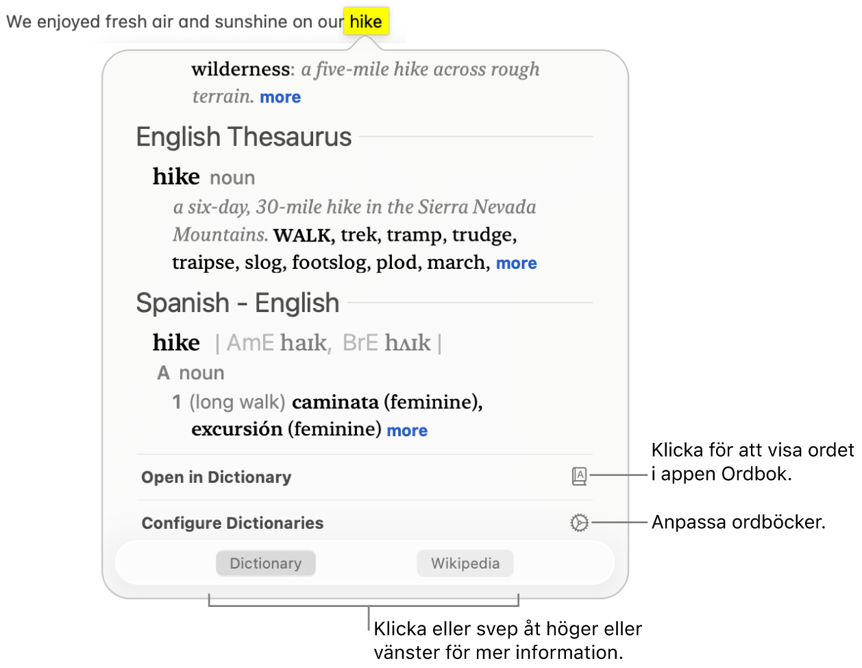 Fönstret Slå upp med definitioner för ett ord från Ordbok och Synonymordbok.