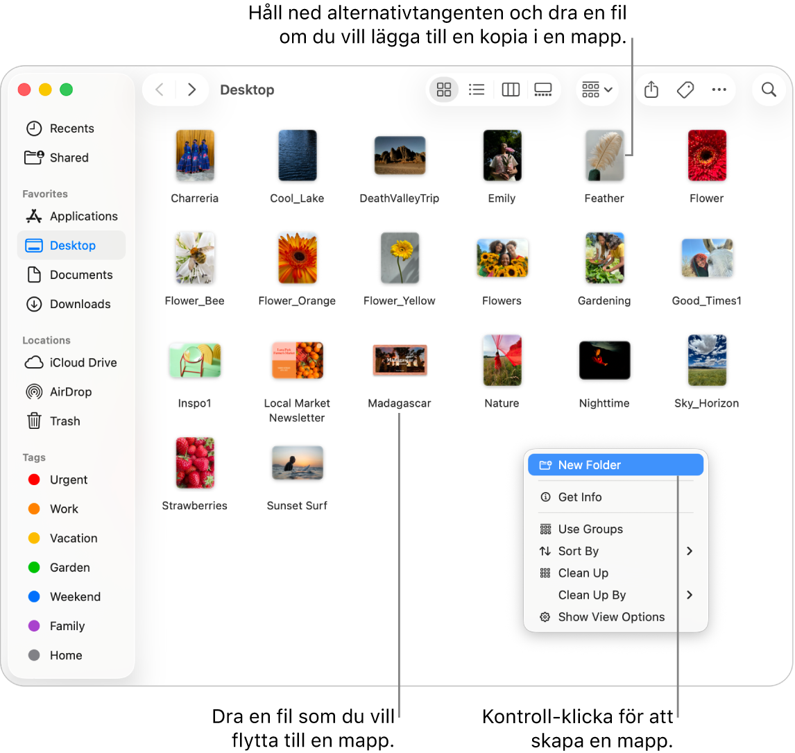 Ett Finder-fönster som innehåller filer och mappar. Ny mapp är markerat i kontextmenyn.